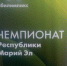 Профориентационное мероприятие в рамках Чемпионата профессионального мастерства "Абилимпикс-2017" - Служба занятости населения