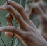 fence-2163951_640 - Tvregion12.ru