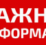 Минтруд увеличил нормы обеспечения детей-инвалидов абсорбирующим бельем – пеленками и подгузниками - Уполномоченный по правам ребенка