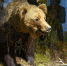 DEN_3488.JPG - Марийская правда