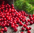 Pixabay - Роспотребнадзор