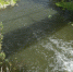 Порожняком, не принося пользы людям, бежит теперь речка Она.JPG - Марийская правда