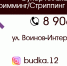 В «Йошкар-Оле» стартовал фотоконкурс «Йошкины кошки и не только…» - Газета Йошкар-Ола
