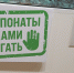 15 октября в Йошкар-Оле открыла свои двери для посетителей «Анималия. Трогательная выставка» - Газета Йошкар-Ола
