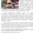 Pirotehnika - 0001.jpg - Министерство спорта