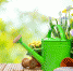 фото - Marimedia.Ru