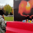 фото - Marimedia.Ru