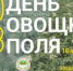 18 августа в Марий Эл пройдет “День овощного поля 2023” - Газета Йошкар-Ола