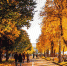 фото - Marimedia.Ru