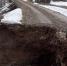 фото - Marimedia.Ru