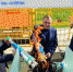 Еще 10 населенных пунктов в Марий Эл подключили к газу - ИА МедиаПоток