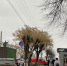Революционный указ подписан: уже в октябре россияне перейдут на новое трудовое расписание с рабочей субботой - Pg12.Ru