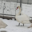 фото - Marimedia.Ru