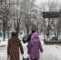 Овны забегаются по полной, а Львов ждет яркое время: свежий гороскоп на выходные - Pg12.Ru