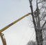 фото - Marimedia.Ru