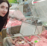 Питательное мясо полезнее курицы в четыре раза: нужно его попробовать - Pg12.Ru