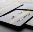 Дмитрий Пьянов, ВТБ: Возвращение Visa и Mastercard в Россию маловероятно без снятия санкций - Марийская правда