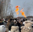 В Тархановском парке Йошкар-Олы можно посетить «масленичные пятачки» и «сопливый базар» - Марийская правда