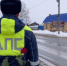 В Республике Марий Эл стартовала Всероссийская акция «Цветы для автоледи» - УМВД Республики Марий Эл