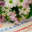 фото - Marimedia.Ru
