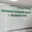 В Йошкар-Оле Перинатальном центре врачи будут заниматься в хоре - Marimedia.Ru