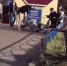 В Республике Марий Эл по выявленной в соцмедиа информации следователем СК возбуждено уголовное дело о хулиганстве - Следственный комитет