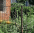 фото - Marimedia.Ru