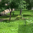 фото - Marimedia.Ru