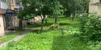 фото - Marimedia.Ru