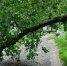 фото - Marimedia.Ru