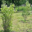 фото - Marimedia.Ru