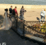 На День семьи, любви и верности в Йошкар-Оле пройдет 12 свадеб - Pg12.Ru