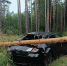 фото - Marimedia.Ru