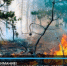 Важно знать! - I-ola.Ru