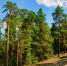 фото - Marimedia.Ru