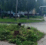 фото - Marimedia.Ru