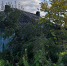 фото - Marimedia.Ru