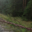 фото - Marimedia.Ru