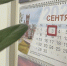 Неофициальный «Шуфутинов день» предлагают узаконить - Marimedia.Ru