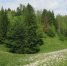 фото - Marimedia.Ru