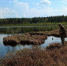 фото - Marimedia.Ru