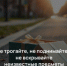 Будьте внимательны - не дотрагивайтесь до чужих вещей на улицах и в общественных местах - I-ola.Ru
