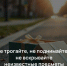 Будьте внимательны - не дотрагивайтесь до чужих вещей на улицах и в общественных местах - Управление культуры