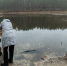 Временно обмелевший Яльчик начал вновь наполняться водой - Pg12.Ru