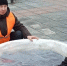 фото - Marimedia.Ru