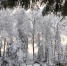 фото - Marimedia.Ru
