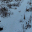 фото - Marimedia.Ru