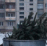 yola-poisk - Yola-Poisk.Ru