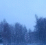 yola-poisk - Yola-Poisk.Ru