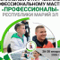 26 января в Марий Эл дан старт региональному этапу чемпионата по профмастерству «Профессионалы» - Минприроды Республики Марий Эл
